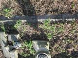 image of grave number 379626